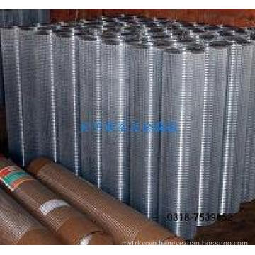 Hot-Dipped Galvanized Welded Wire Mesh Rolls (W-DHWJ)